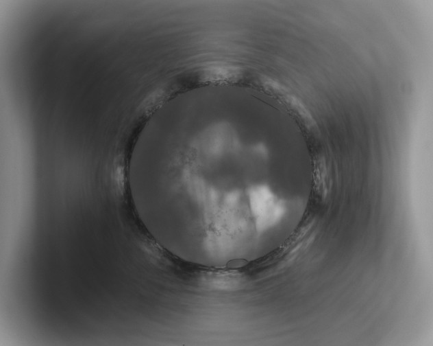 X0000101430716200807211150