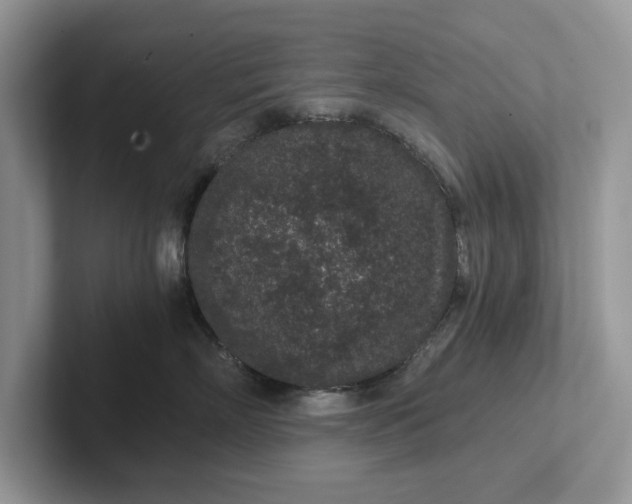 X0000101430718200807211150