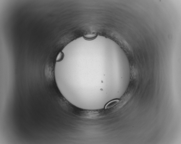 X0000101430719200807211150