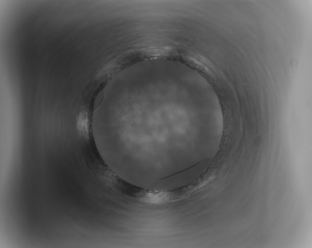 X0000101430720200807211150