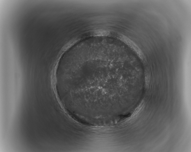 X0000101430721200807211149