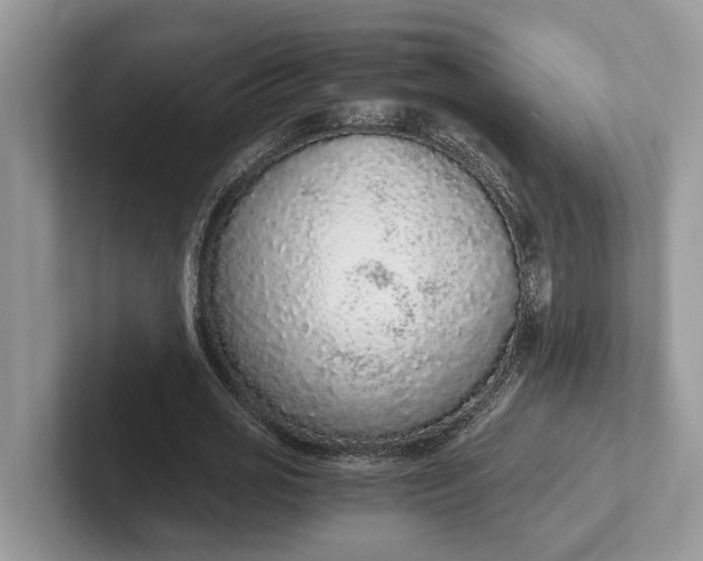 X0000101430725200807211149