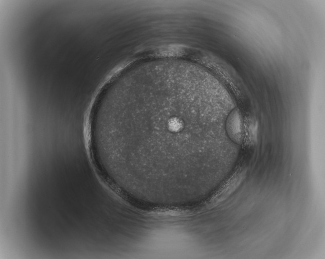 X0000101430726200807211149