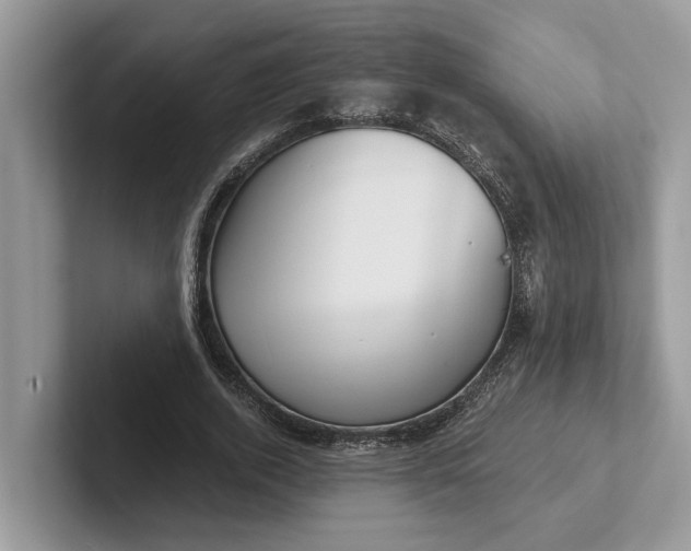 X0000101430728200807211149