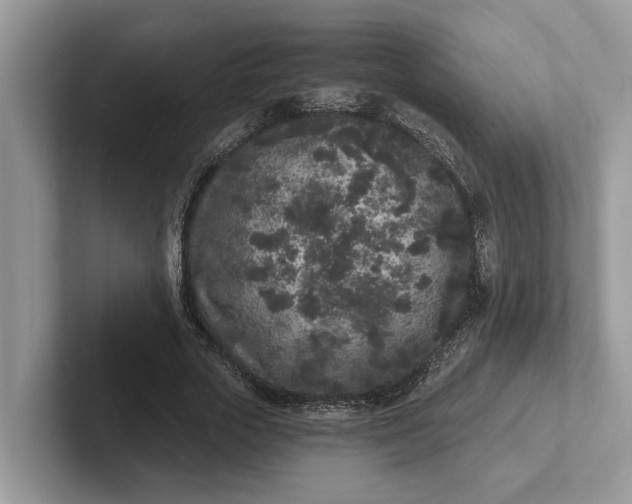 X0000101430729200807211149