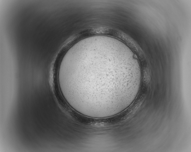 X0000101430730200807211149