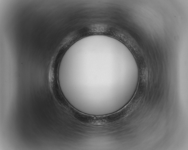 X0000101430731200807211149