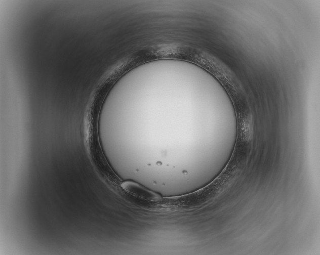 X0000101430732200807211149