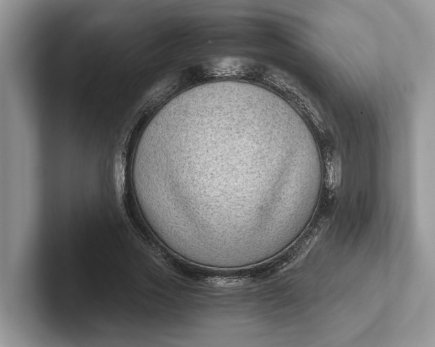 X0000101430733200807211149