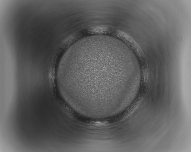 X0000101430737200807211149