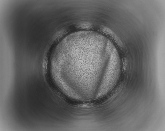 X0000101430739200807211150