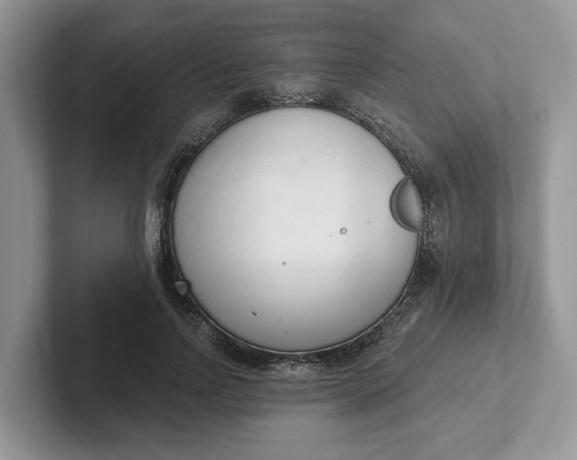 X0000101430742200807211150