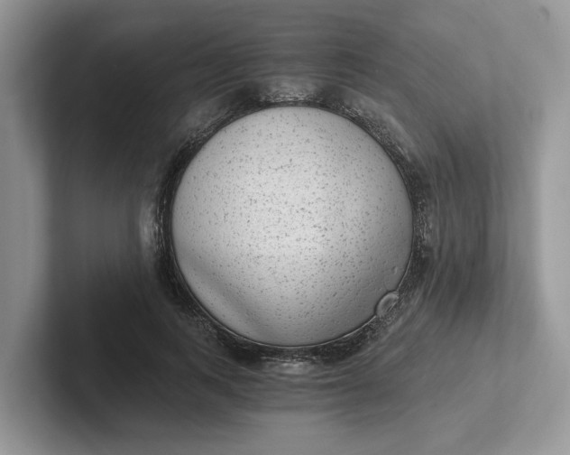 X0000101430743200807211150