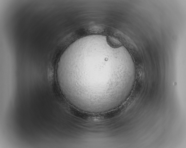 X0000101430745200807211150