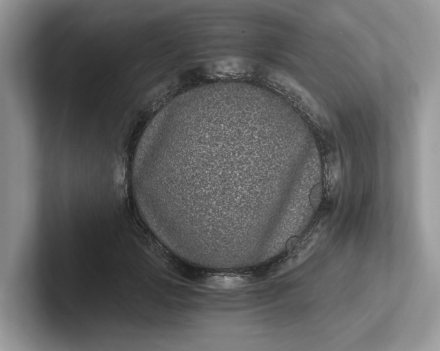 X0000101430749200807211150