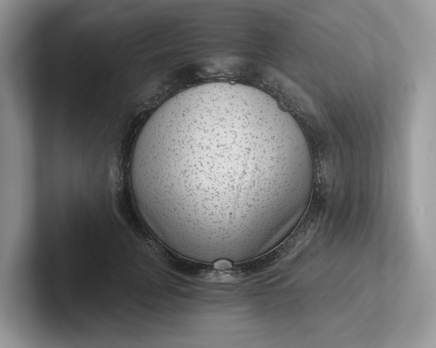 X0000101430751200807211150