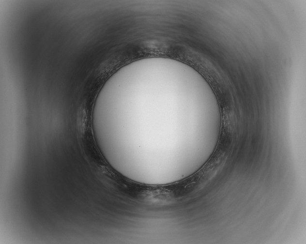 X0000101430752200807211150