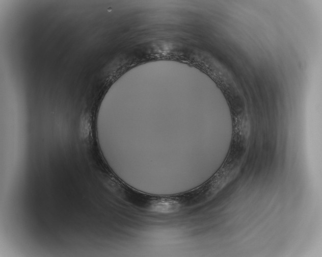 X0000101430754200807211150