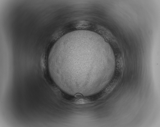 X0000101430755200807211150