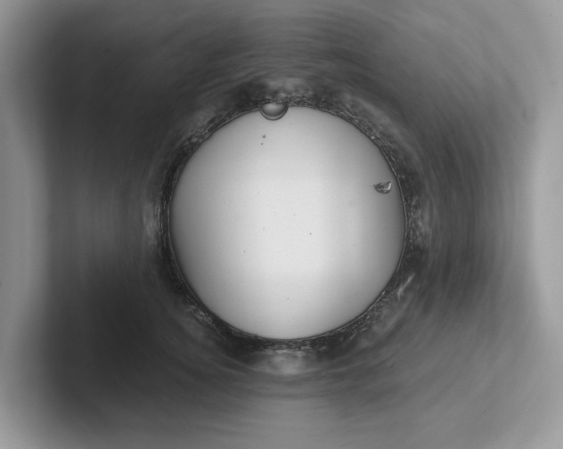 X0000101430756200807211150