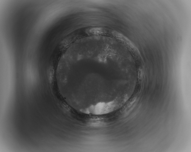 X0000101430760200807211150