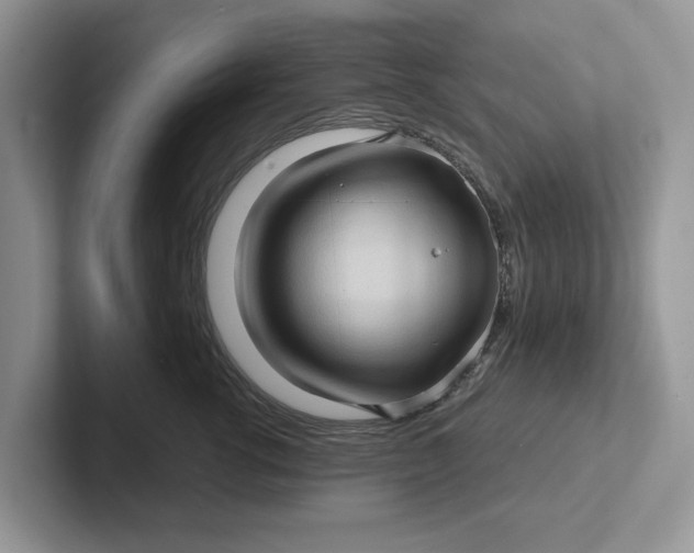 X0000101430762200807211150