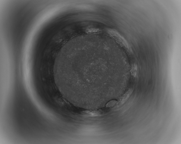 X0000101430763200807211150