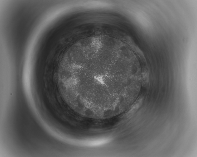 X0000101430765200807211150