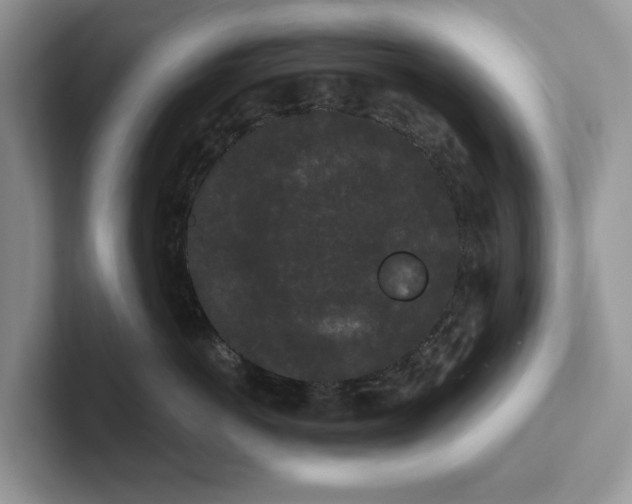 X0000101430766200807211150