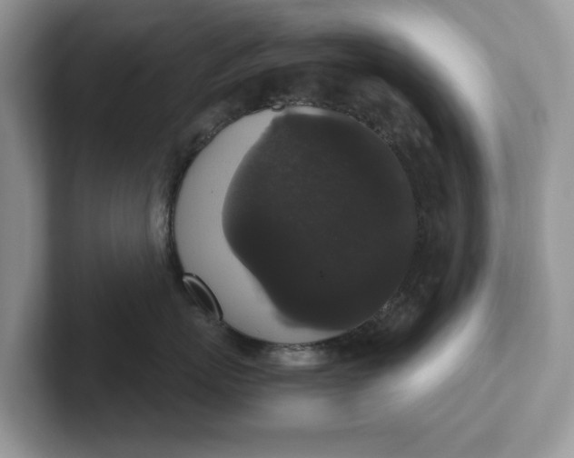 X0000101430767200807211150