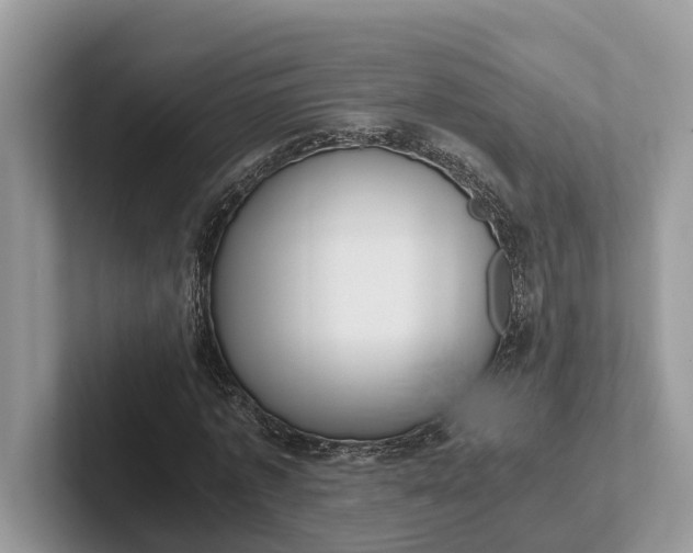 X0000101430773200807211149