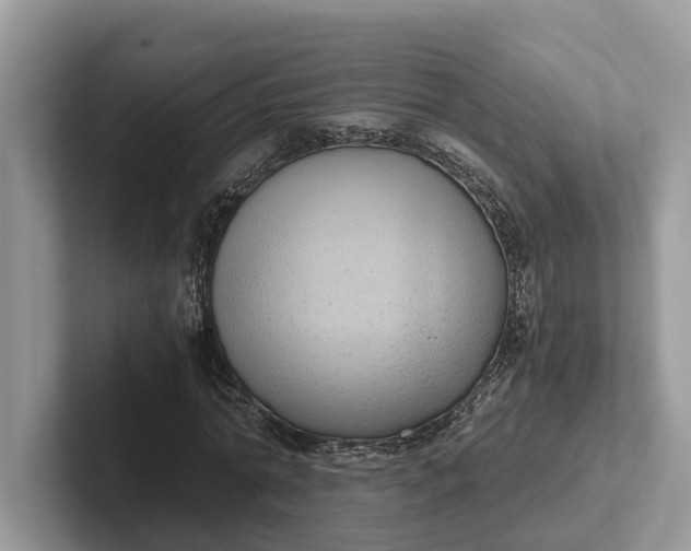 X0000101430774200807211149