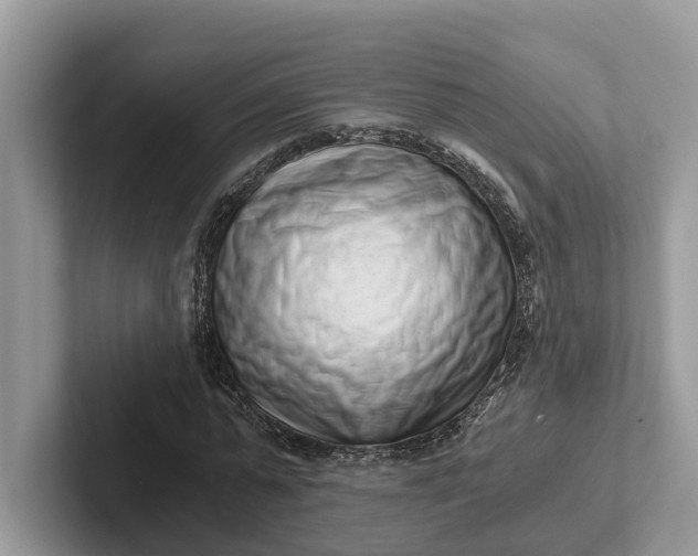 X0000101430775200807211149