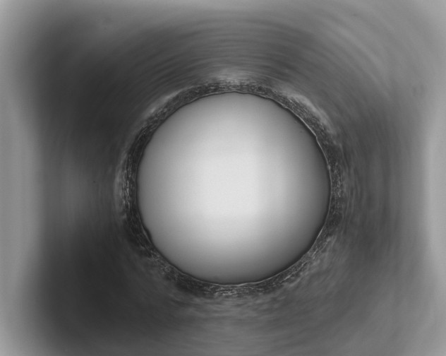 X0000101430776200807211149