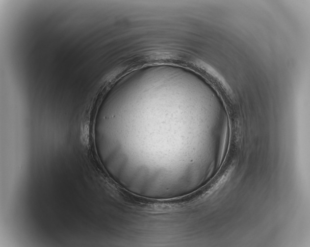 X0000101430777200807211149