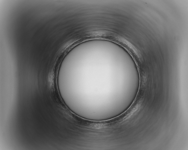 X0000101430778200807211149