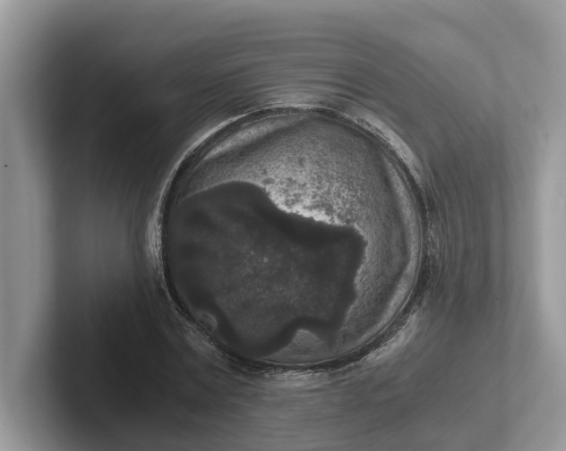 X0000101430779200807211149