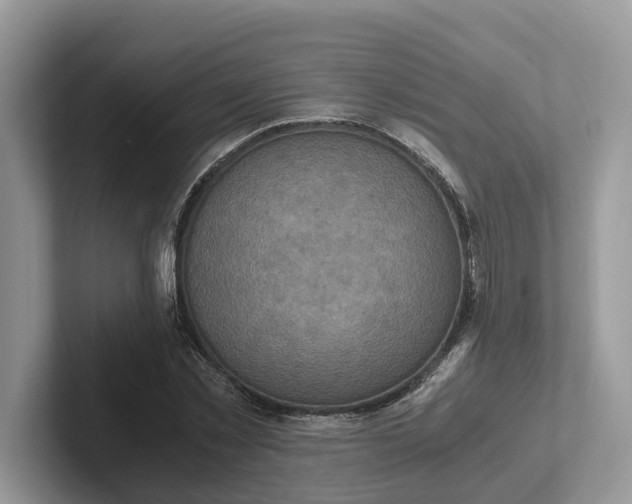 X0000101430781200807211149