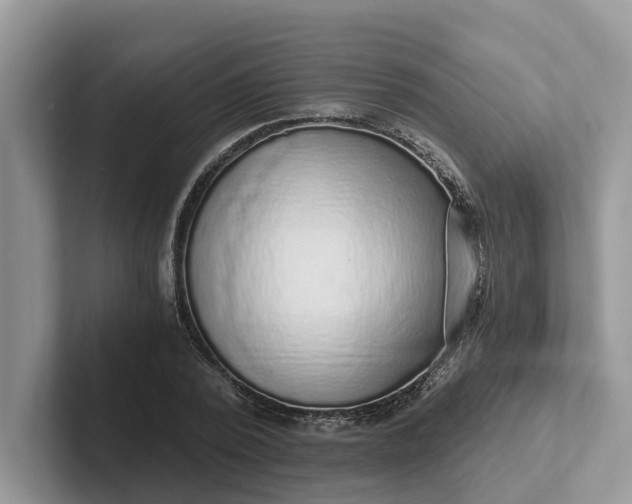 X0000101430784200807211149