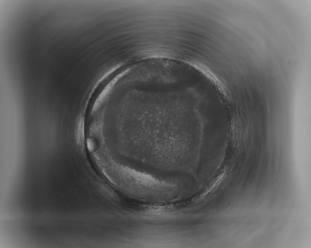 X0000101430790200807211149