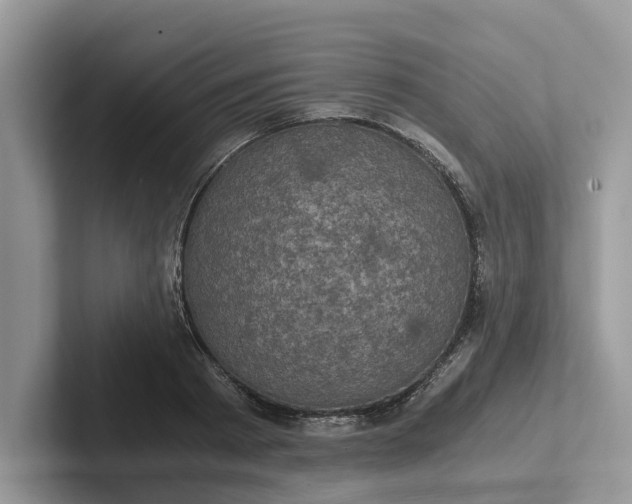 X0000101430793200807211149