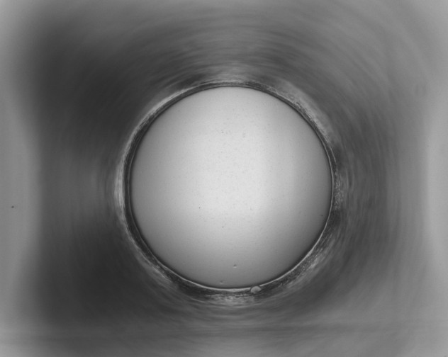 X0000101430795200807211149