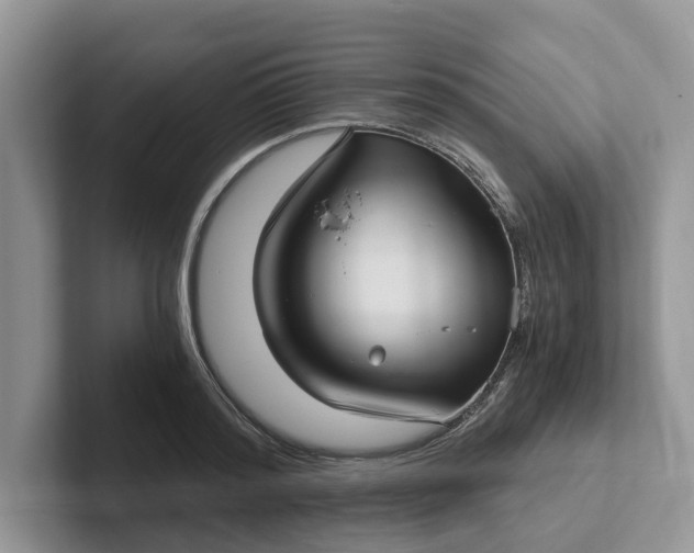 X0000101430796200807211149