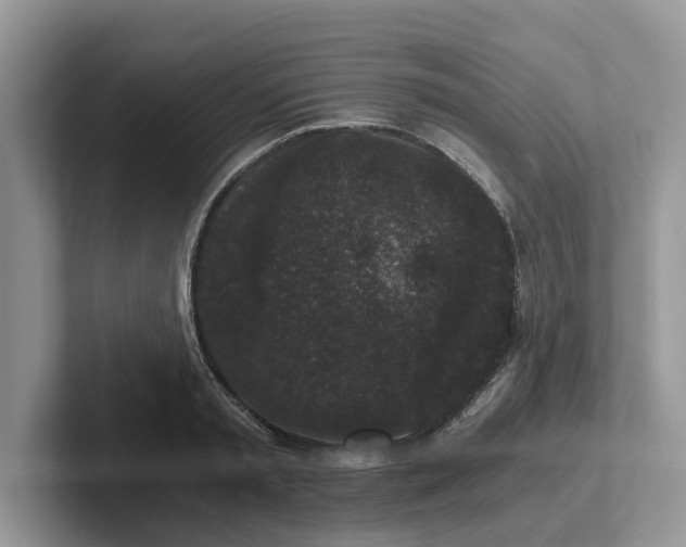 X0000101430797200807211149