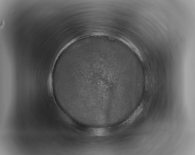 X0000101430798200807211149