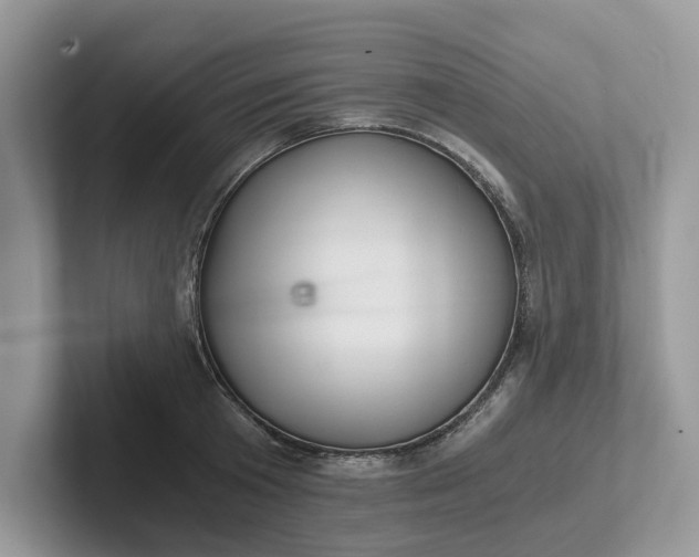 X0000101430801200807211149