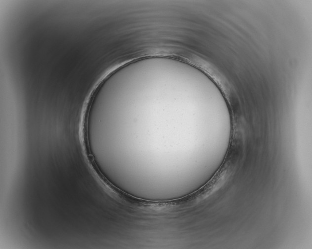 X0000101430803200807211149