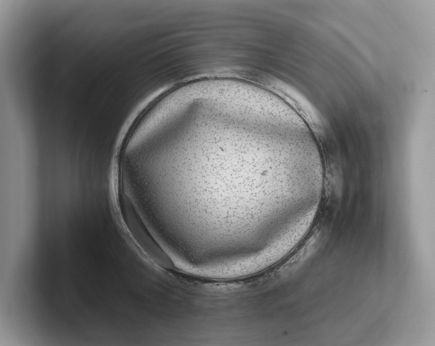 X0000101430804200807211149