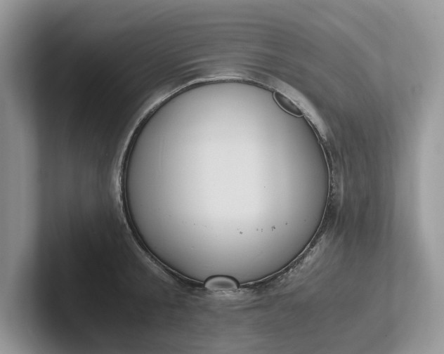 X0000101430805200807211149