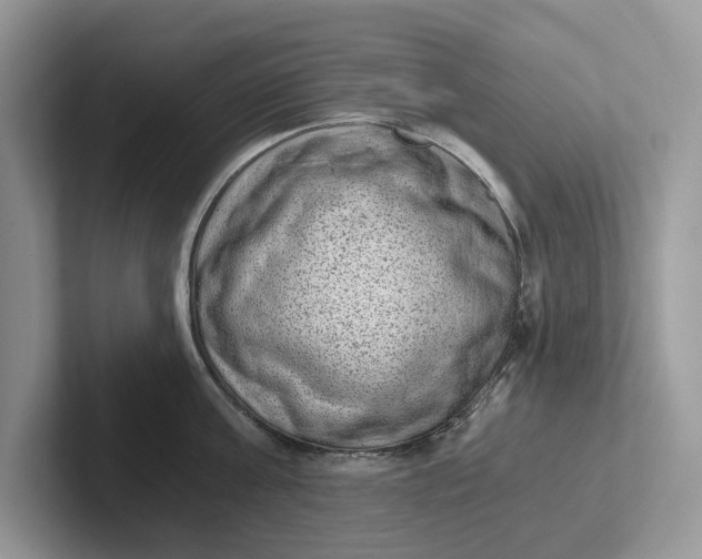 X0000101430811200807211149